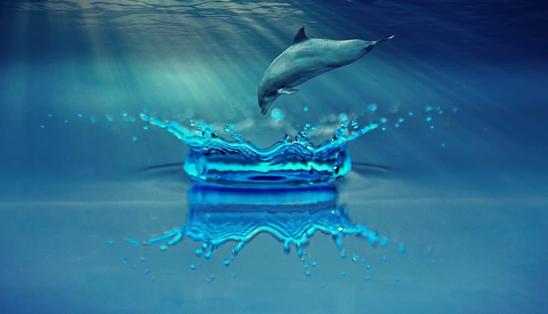 Underwater Cities
